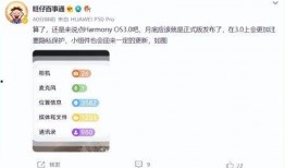 华为系统最新爆料图片,系统升级大揭秘，颠覆性功能即将亮相！